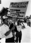 (3649) Demonstration, pesticides, Indio, California demonstrate 